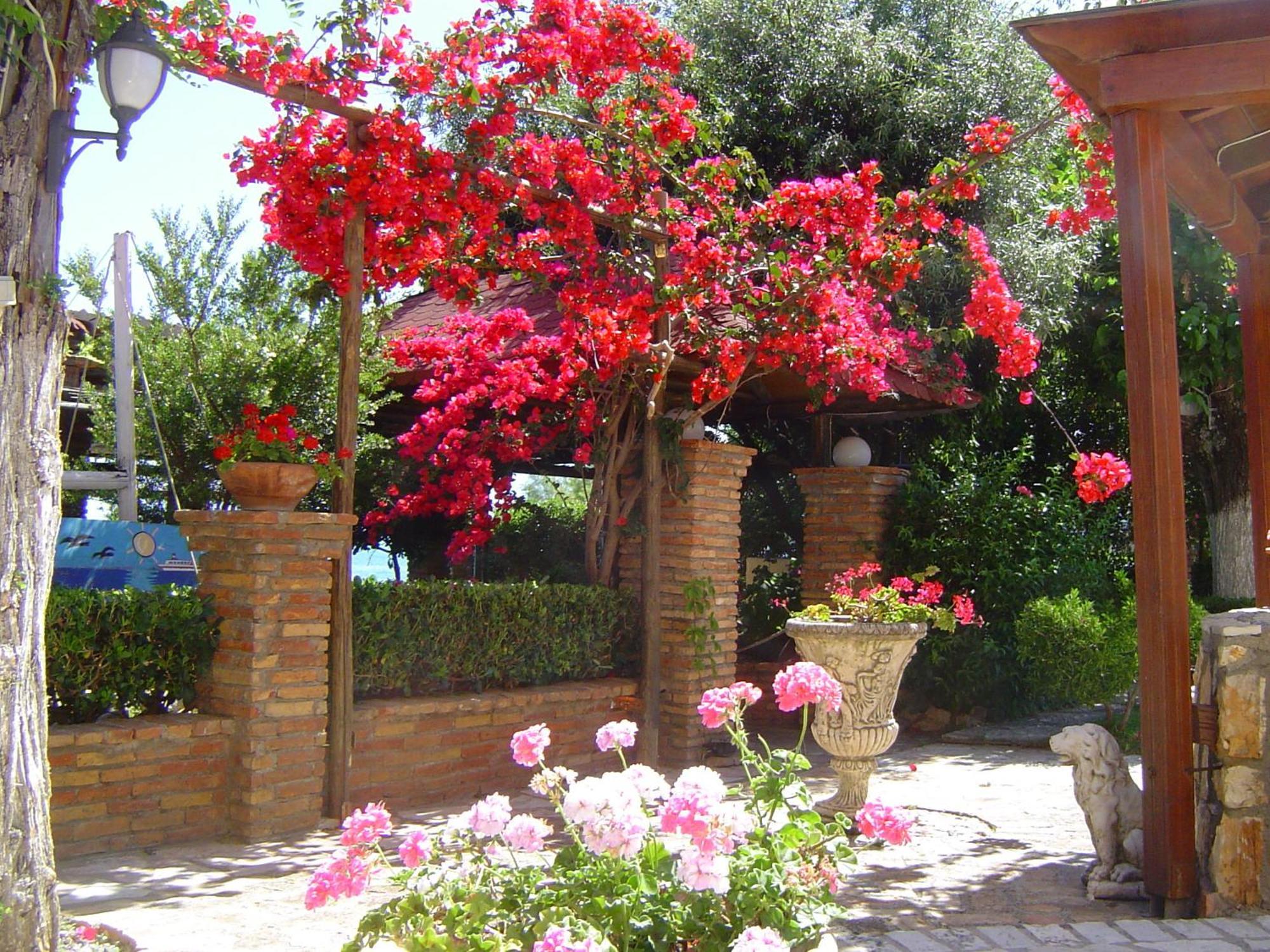 Hotel Castella Beach Alissos Exterior foto